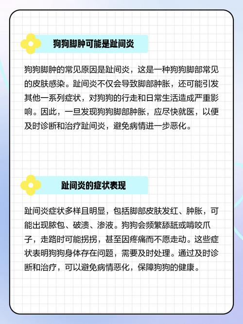 哪些方法能给狗狗的脚消肿?