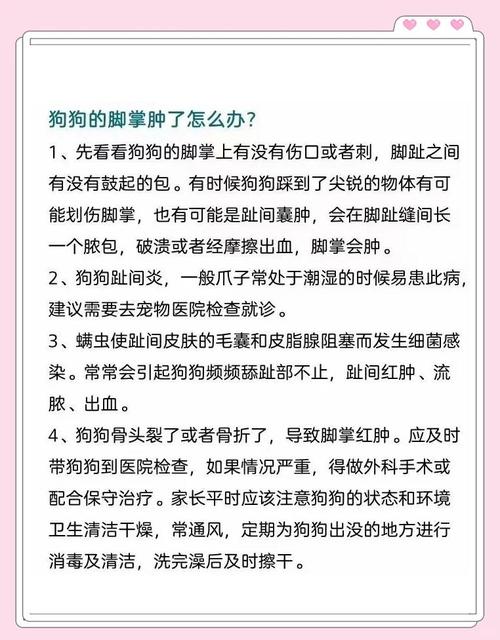 狗的脚肿了是什么原因?