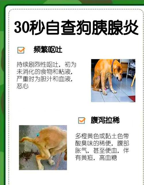 狗狗胰腺炎多久才能完全恢复