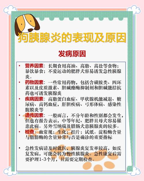 狗狗得了胰腺炎还能治好吗?