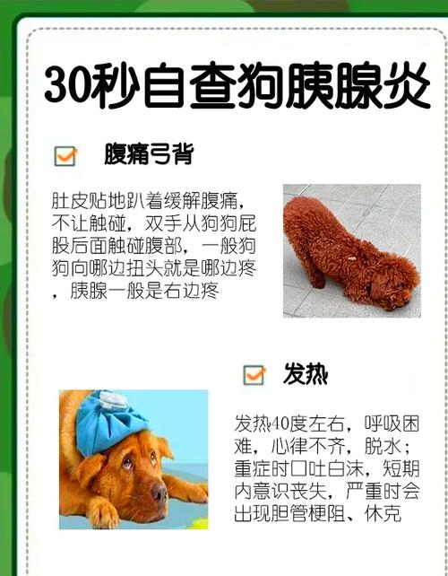 狗狗胰腺炎治疗多久能好?