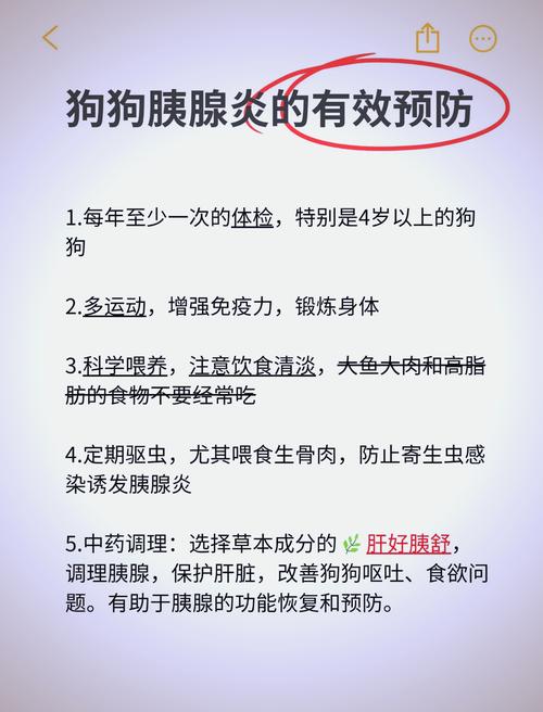 狗狗得胰腺炎能救活么!?