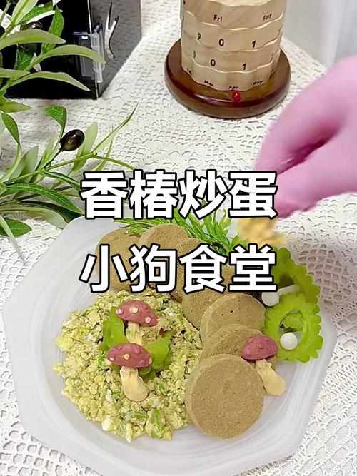 狗狗能吃西红柿炒鸡蛋吗?