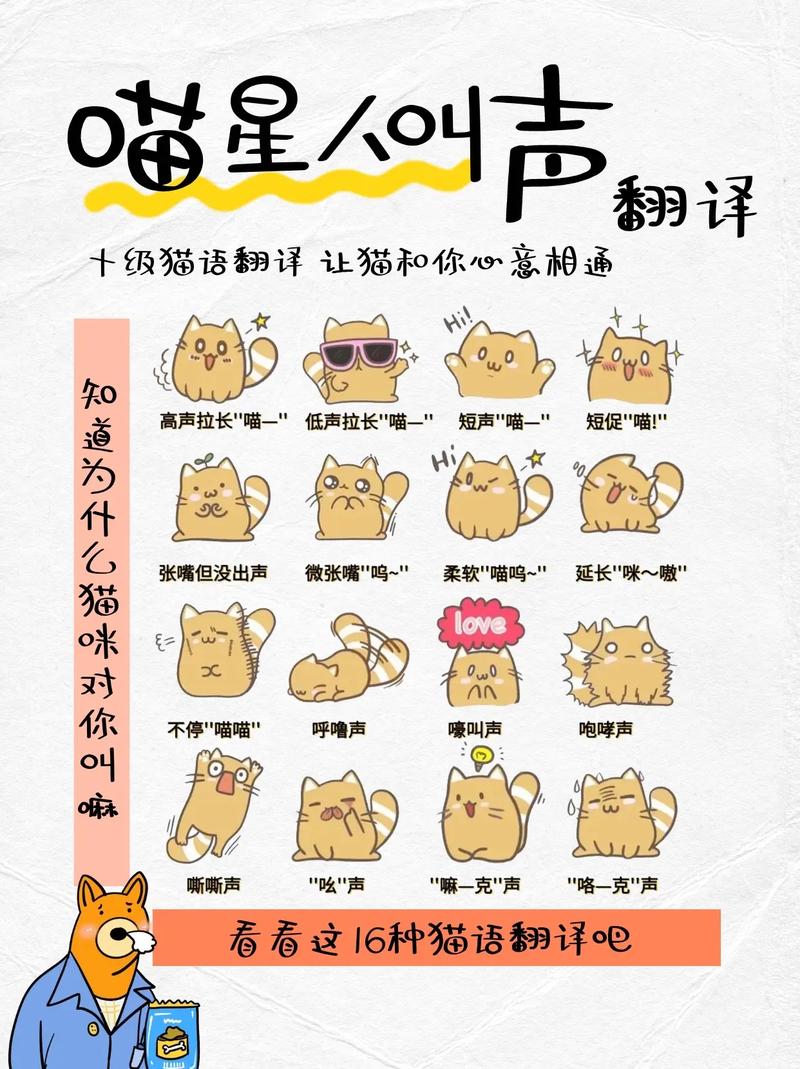 猫在什么情况下会说话?