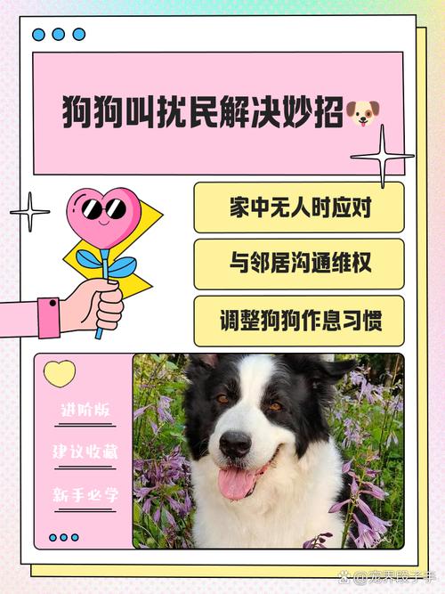 狗扰民打110还是12345