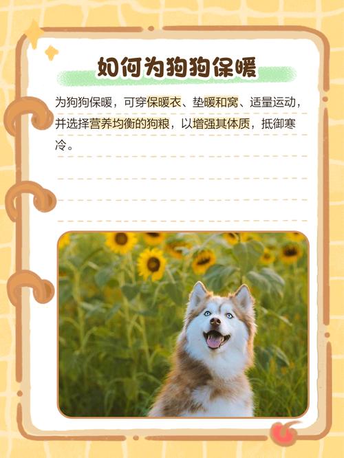 狗狗睡觉缩成一团意味着什么