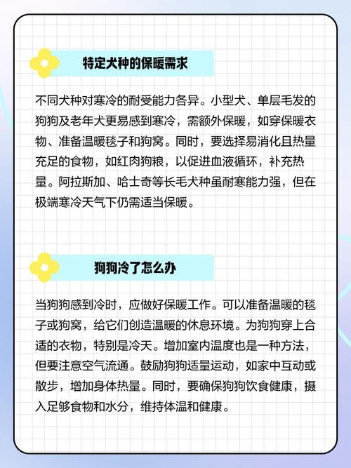 为什么狗狗蜷缩身体睡觉