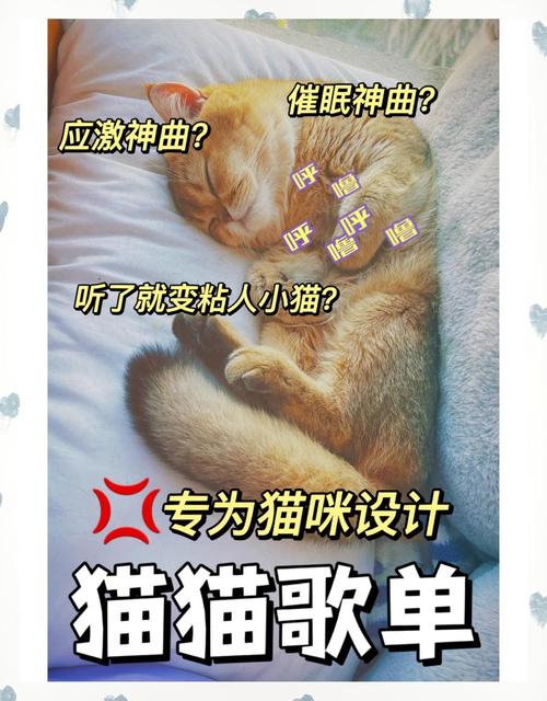 哪些音乐可以让猫咪放松下来?
