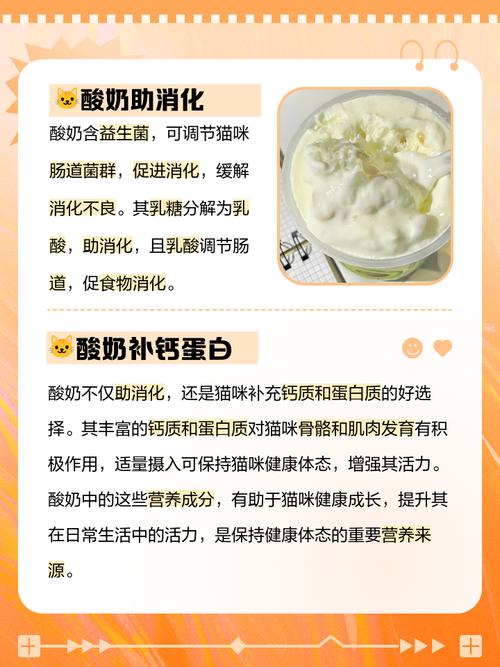 猫咪是可以喝酸奶的吗猫咪喝酸奶的好处