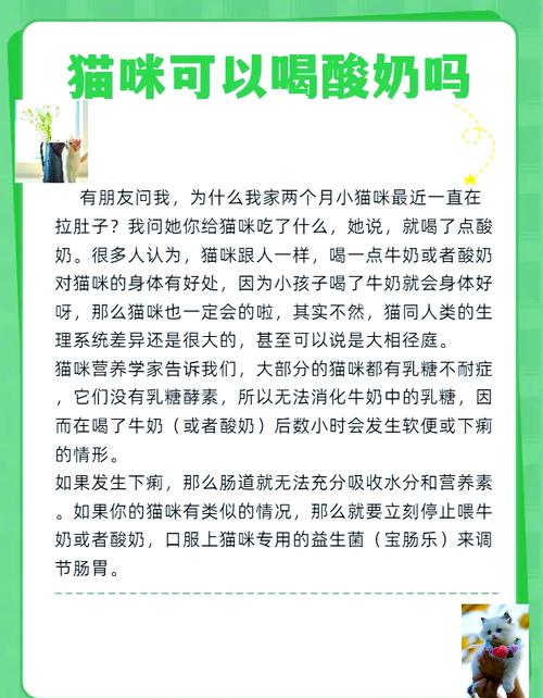 猫猫喝酸奶会怎样