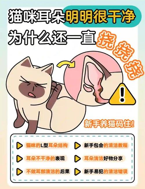 怎么样掏耳朵猫更舒服?