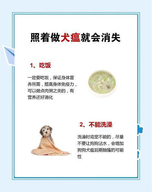 狗狗得犬瘟怎么治疗