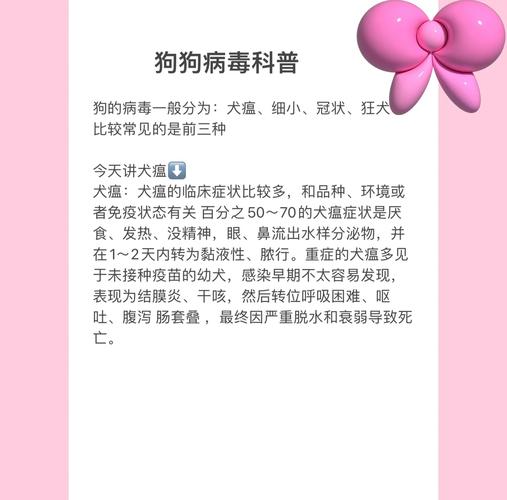 狗狗得了犬瘟怎么办好