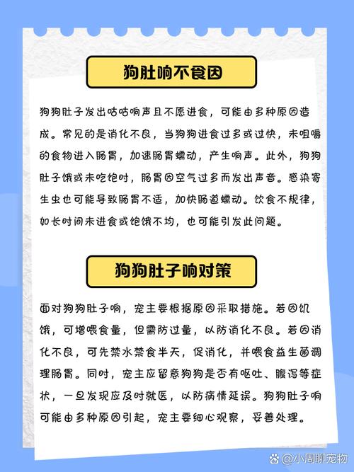 我家狗狗得了犬瘟,肚子咕咕叫是怎么回事