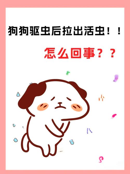 狗狗拉屎有虫子怎么办