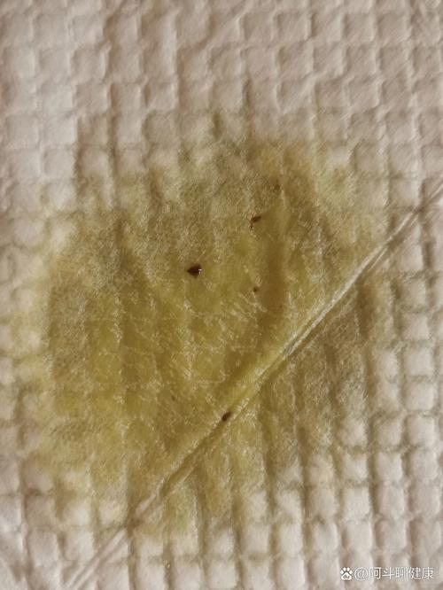 狗狗怀孕40天流粘液