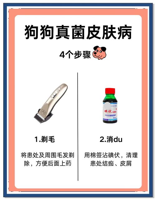 怎么给狗狗治疗真菌感染?
