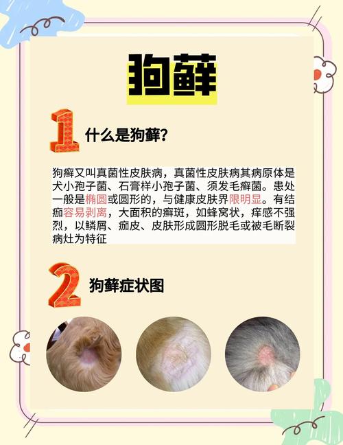 小狗真菌感染怎么治疗