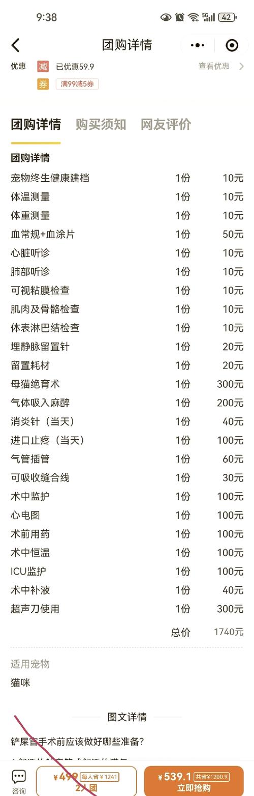 猫咪肠梗塞手术大约多少钱?