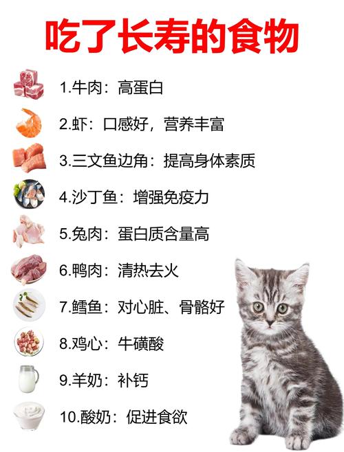 猫咪冬天不怎么吃东西正常吗?