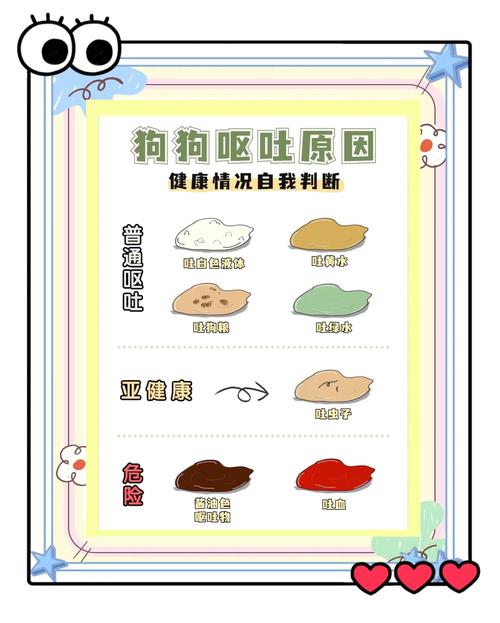 狗狗感冒发烧呕吐怎么办