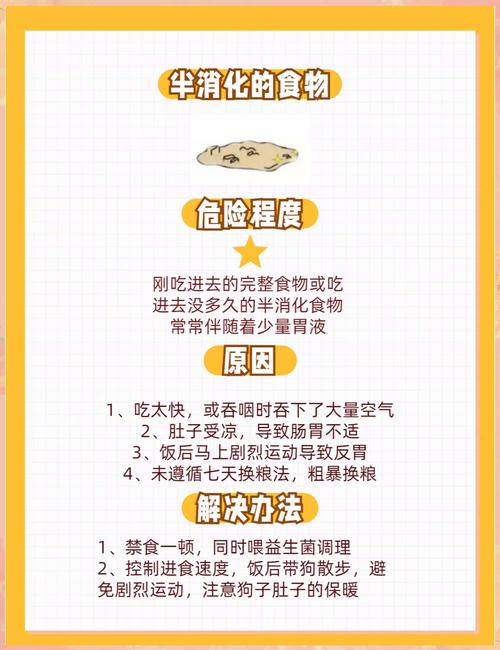 狗狗发烧、呕吐时该怎么办?