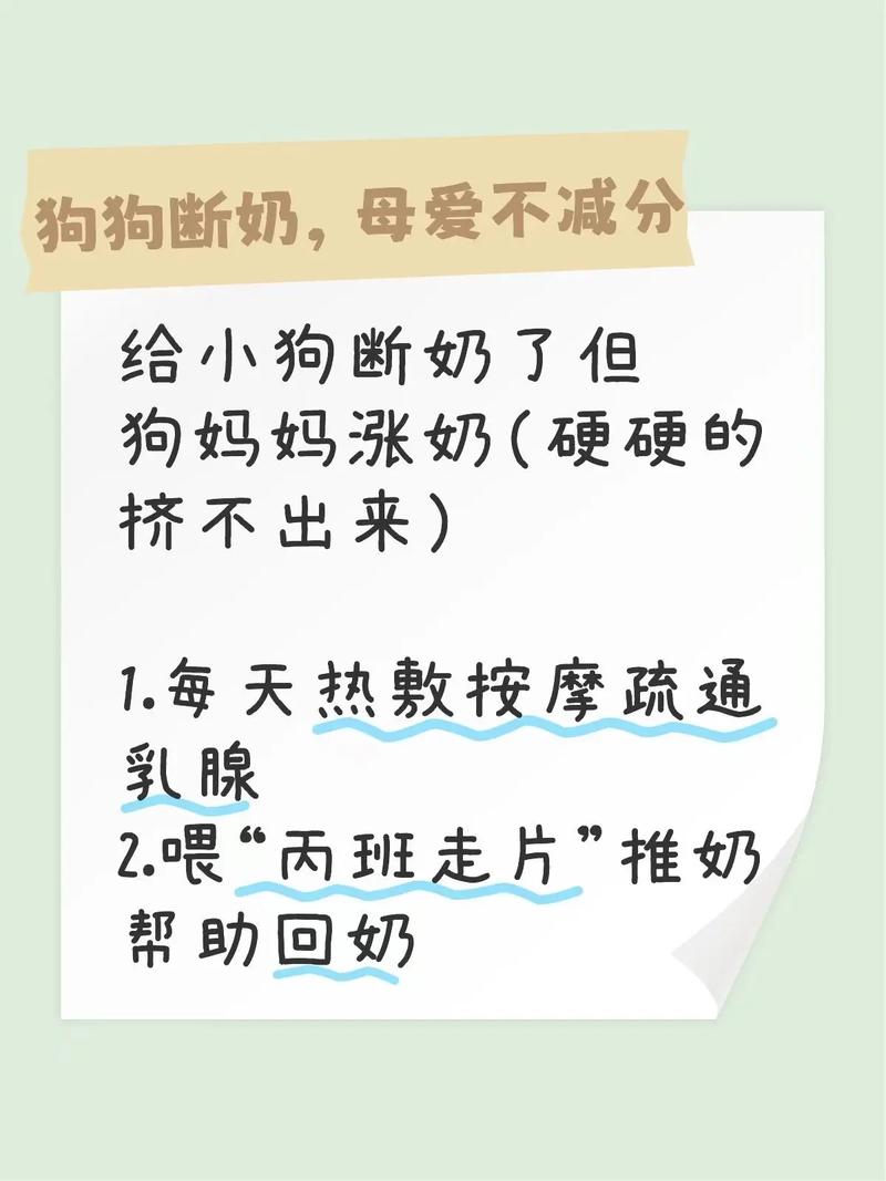 狗涨奶几天可以消掉吗