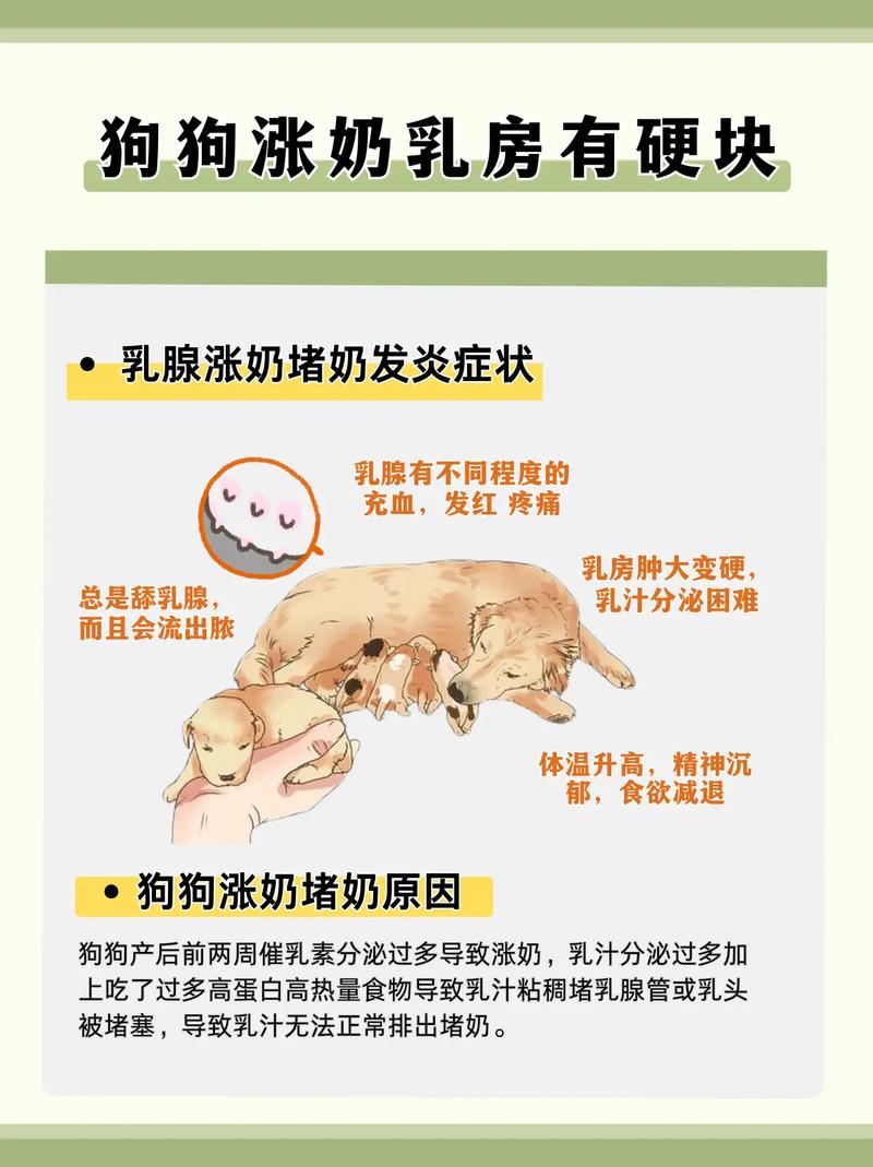 母狗断奶后涨奶怎么办