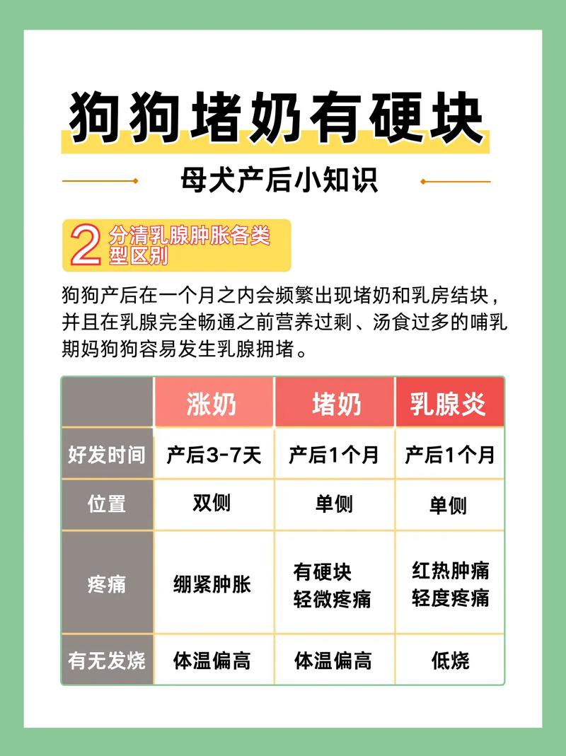 小狗断奶后大狗狗涨奶了怎么办?