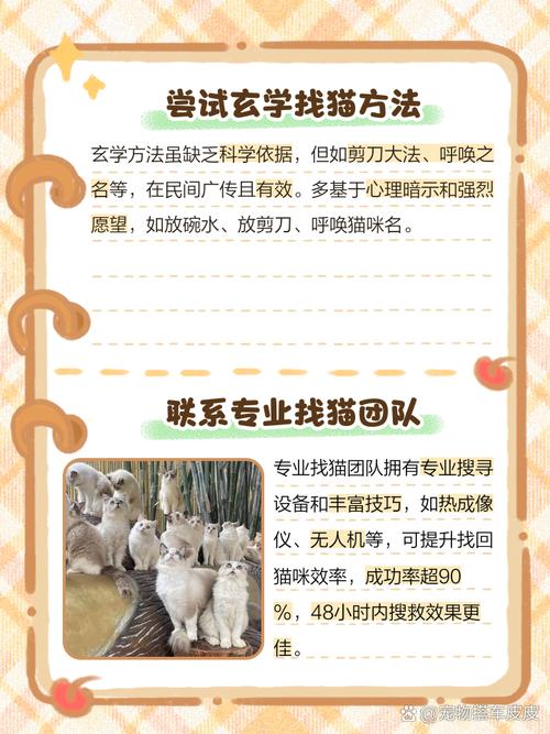 猫在家里找不到了怎么办,引诱猫咪出来的方法