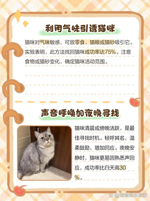 猫咪在家莫名其妙的就消失了,猫在家里找不到了