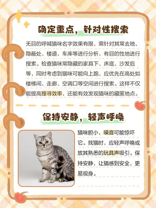 ...把猫猫也带回家了,结果第三天猫咪就找不到了,怎么可以尽快..._百度...