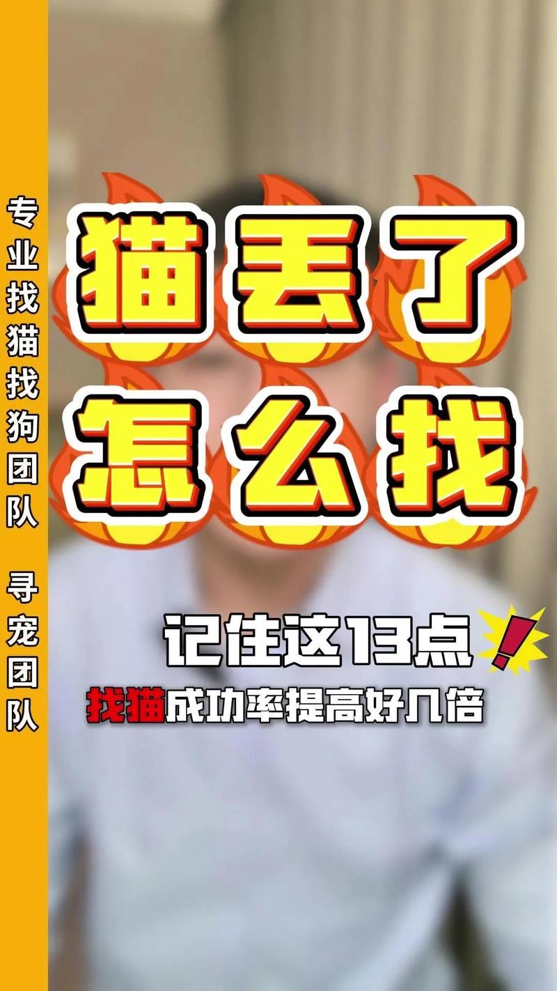 家里养的蓝猫跑出去怎么找