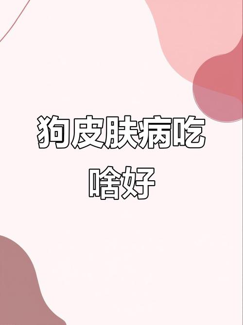 狗狗皮肤病吃什么狗粮