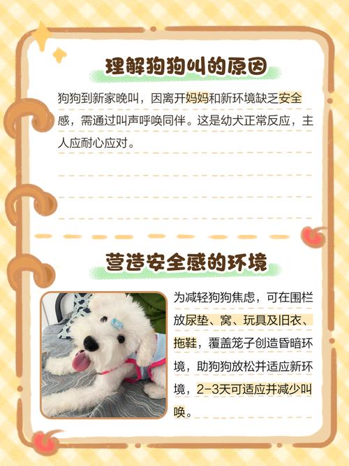 狗狗刚到家一直叫怎么办