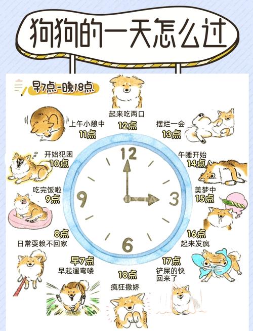 刚到家的狗狗晚上一直叫怎么办