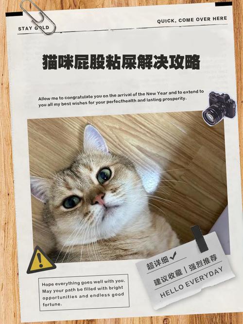 我家猫拉屎特别臭`而且拉完还粘在屁股上`怎么办`