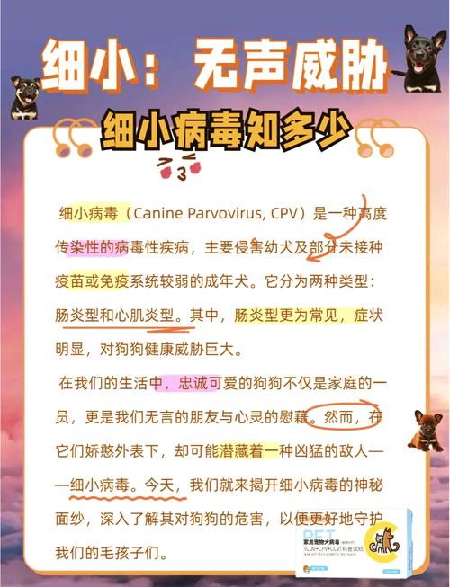 多大的狗狗容易得细小和犬瘟