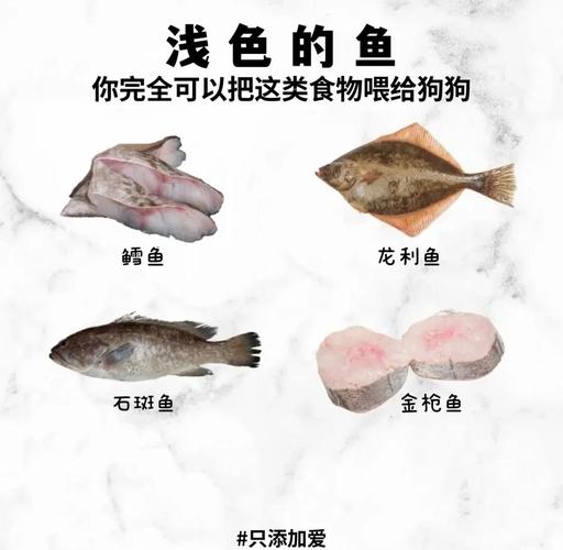 狗能不能吃带鱼啊?。