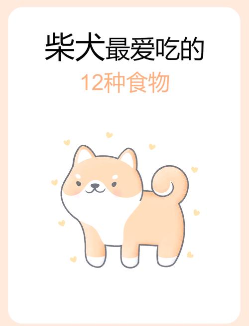 柴犬一天吃几个蛋黄柴犬一天吃几个蛋黄好