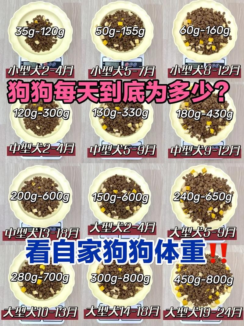 狗狗一天吃多少狗粮最合适