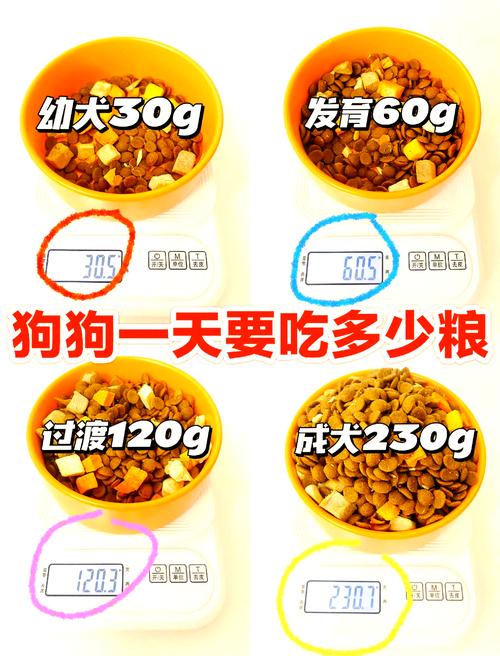 狗狗一天吃多少狗粮?
