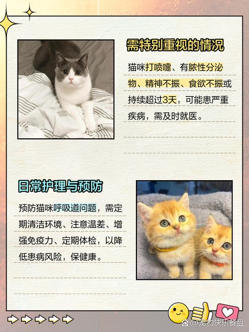 猫喝完水打喷嚏的原因及处理方法