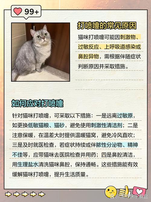 猫咪打喷嚏有什么原因