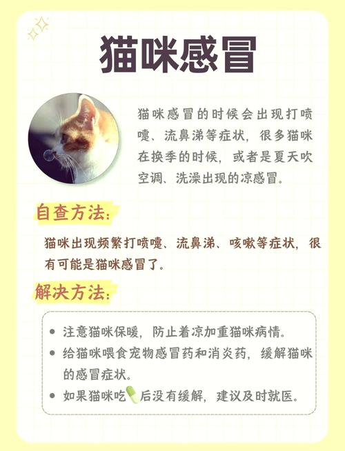 猫不停的打喷嚏是怎么回事