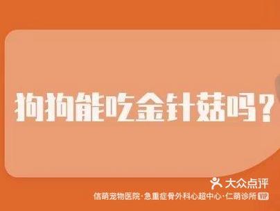 狗能吃金针菇吗