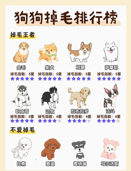 狗狗每年几月换毛?