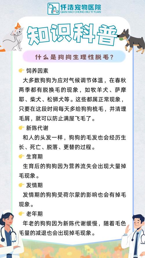 狗狗换毛期是什么时候?