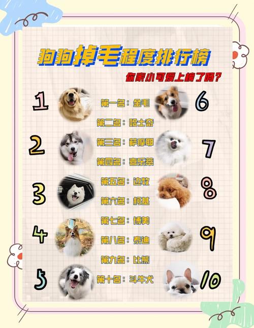 狗狗换毛期是什么时候