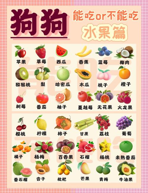 狗狗能吃的水果有哪些?